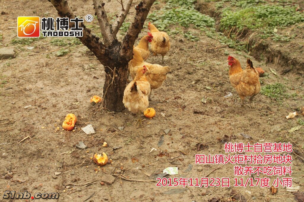 QQ图片20151124100412.jpg