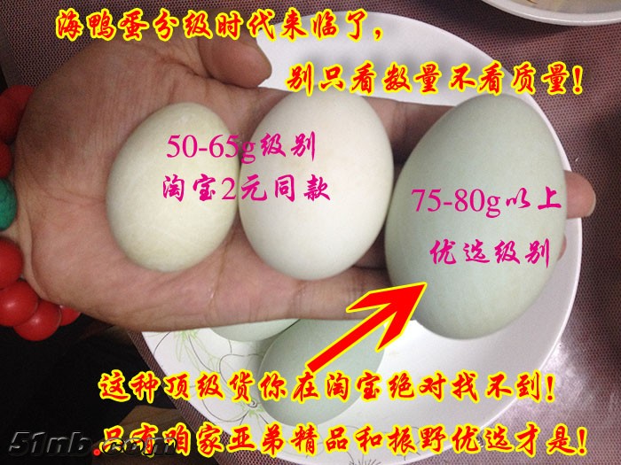 海鸭蛋分级别.JPG