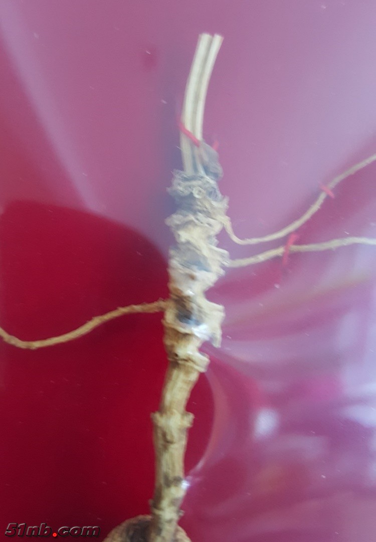 20151227_143016.jpg