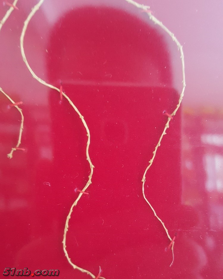 20151227_143025.jpg