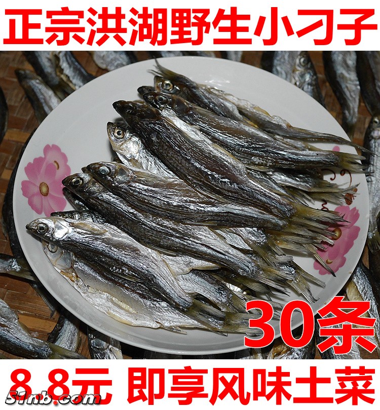 首图 (2).JPG