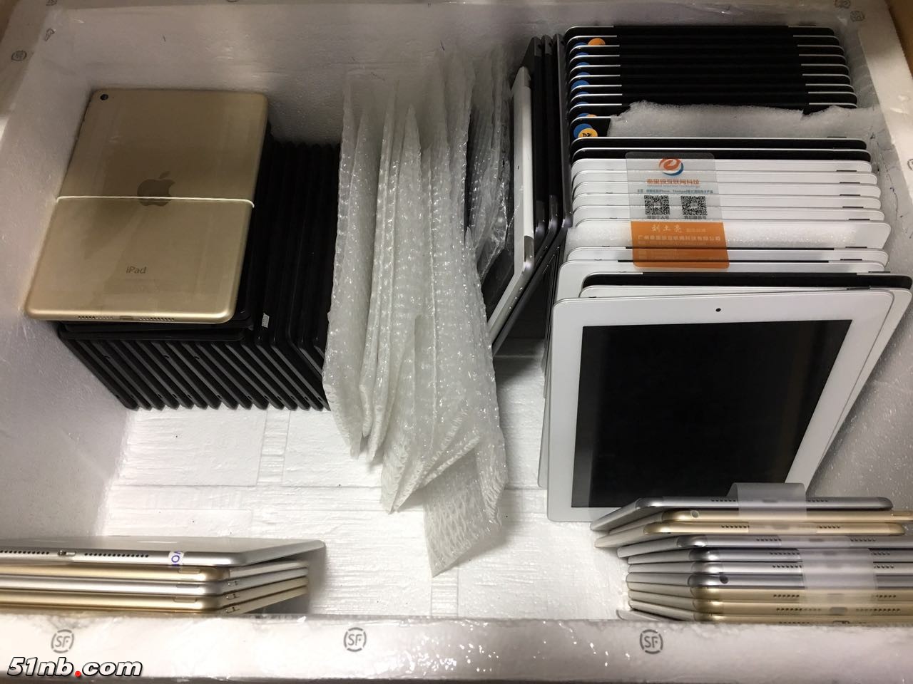 82441989869250820.jpg