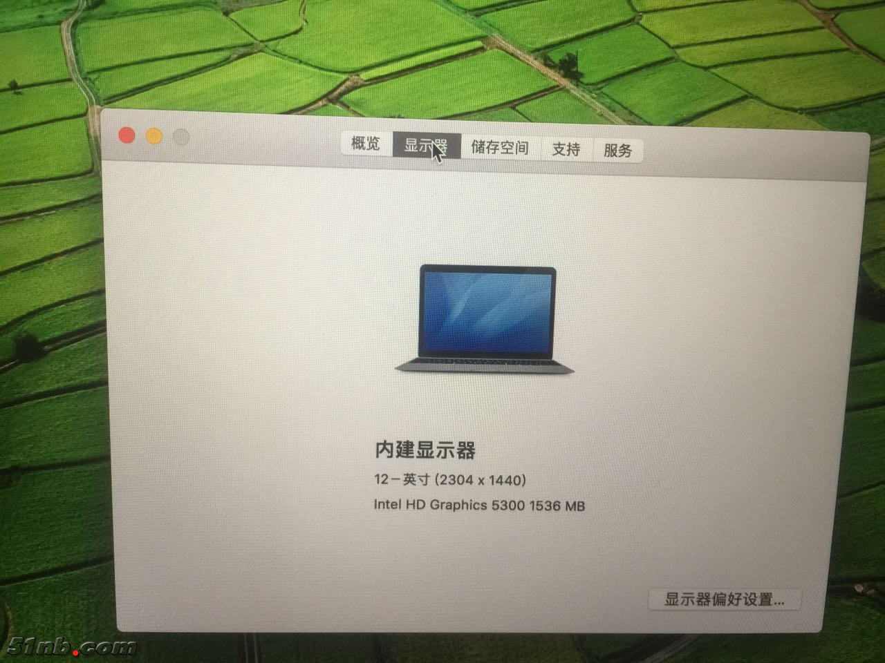 440586122633112280.jpg