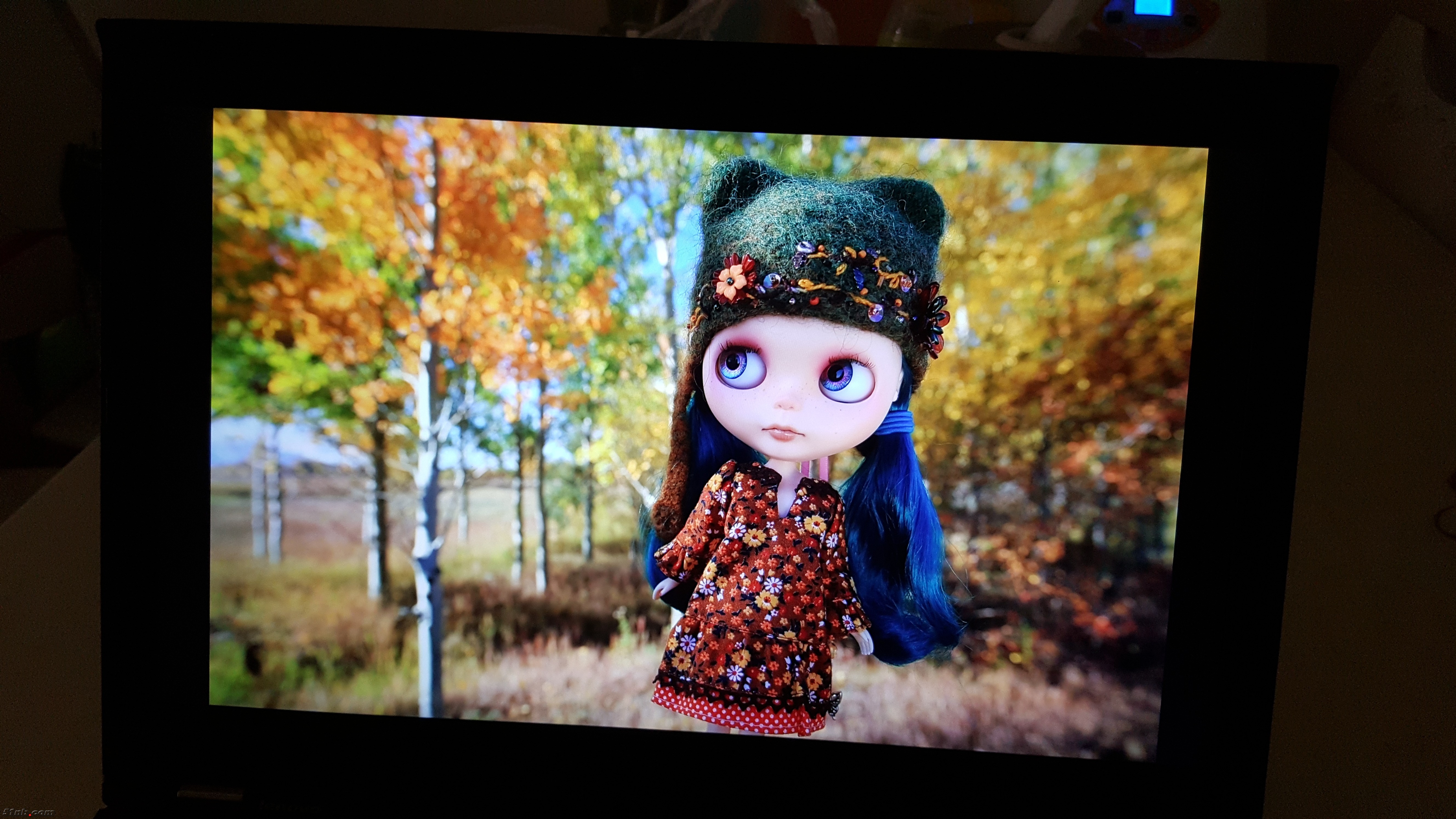 20171029_093921.jpg