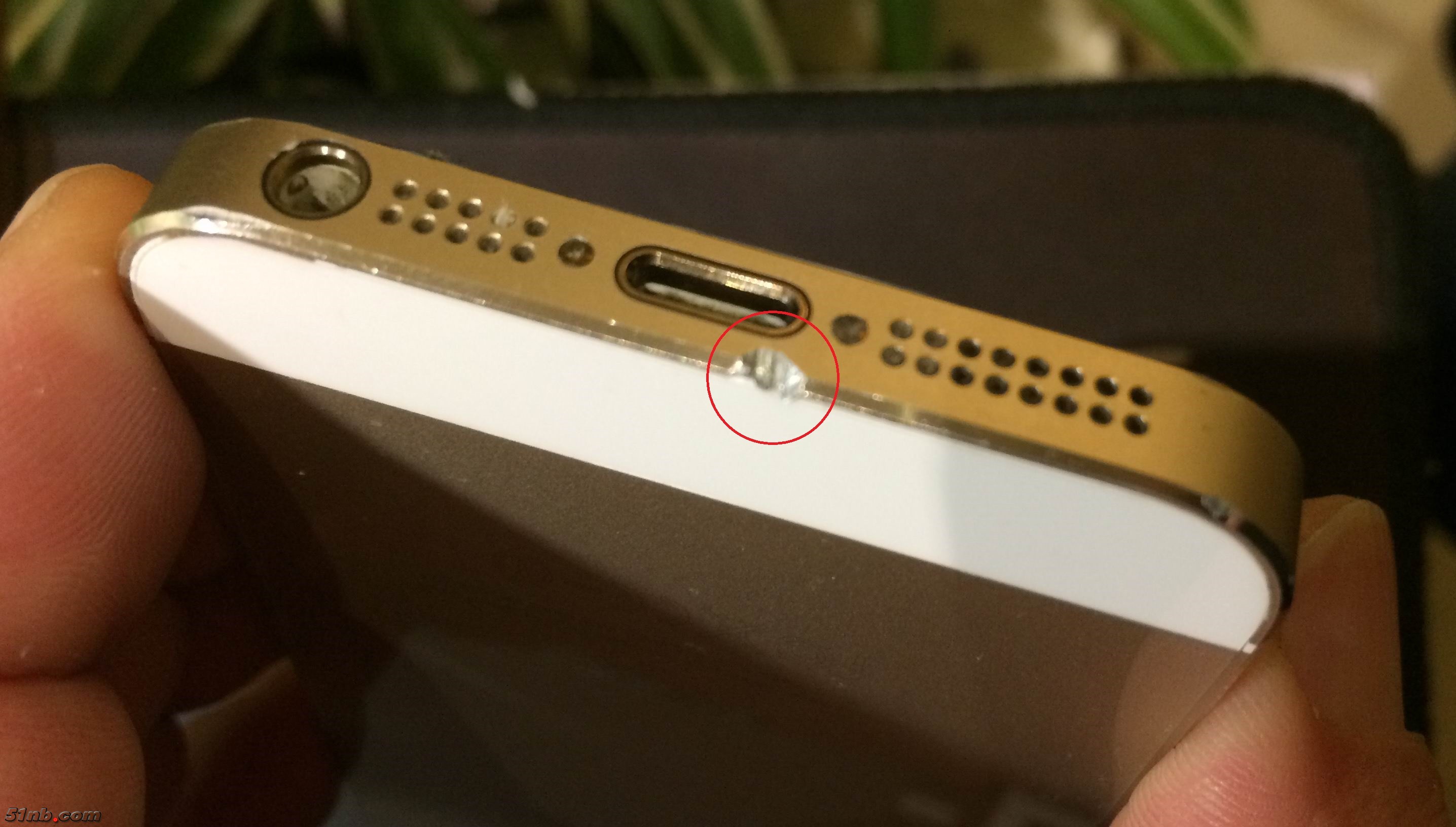 20171229_120536808_iOS.jpg