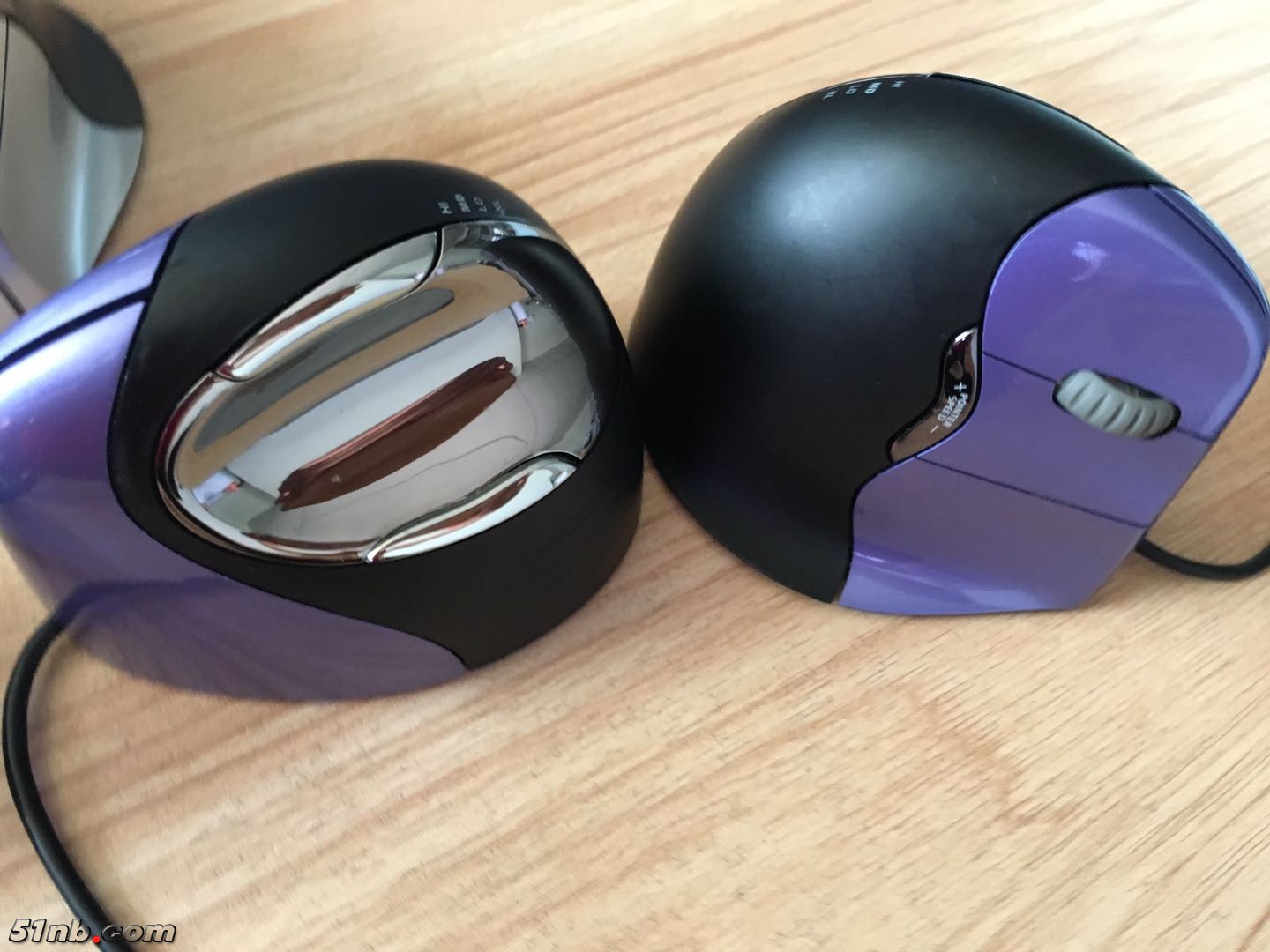 mouse 4-2.jpg