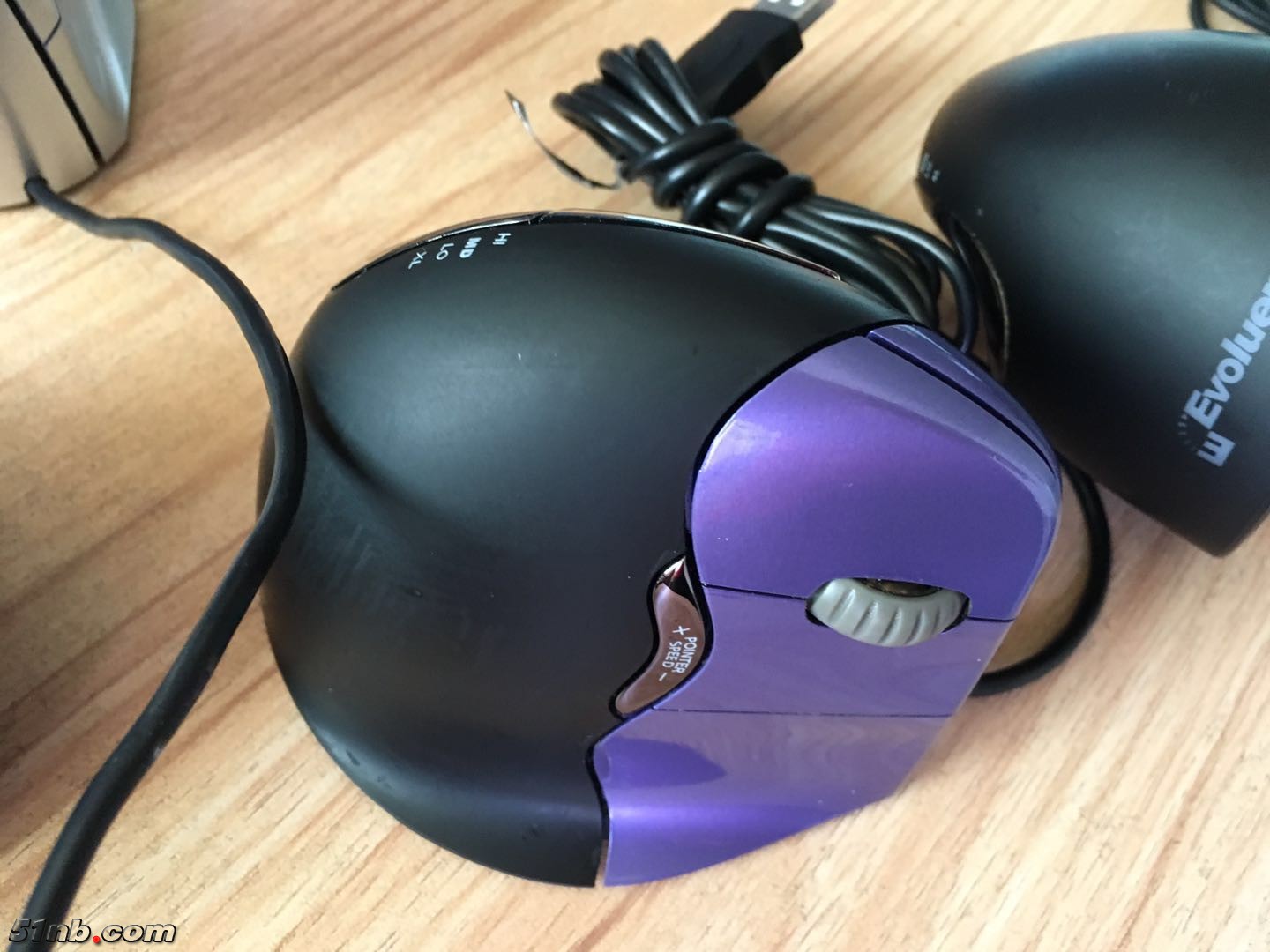 mouse 4-3.jpg