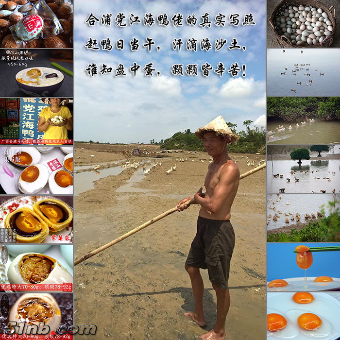 党江养鸭农民 (2).png