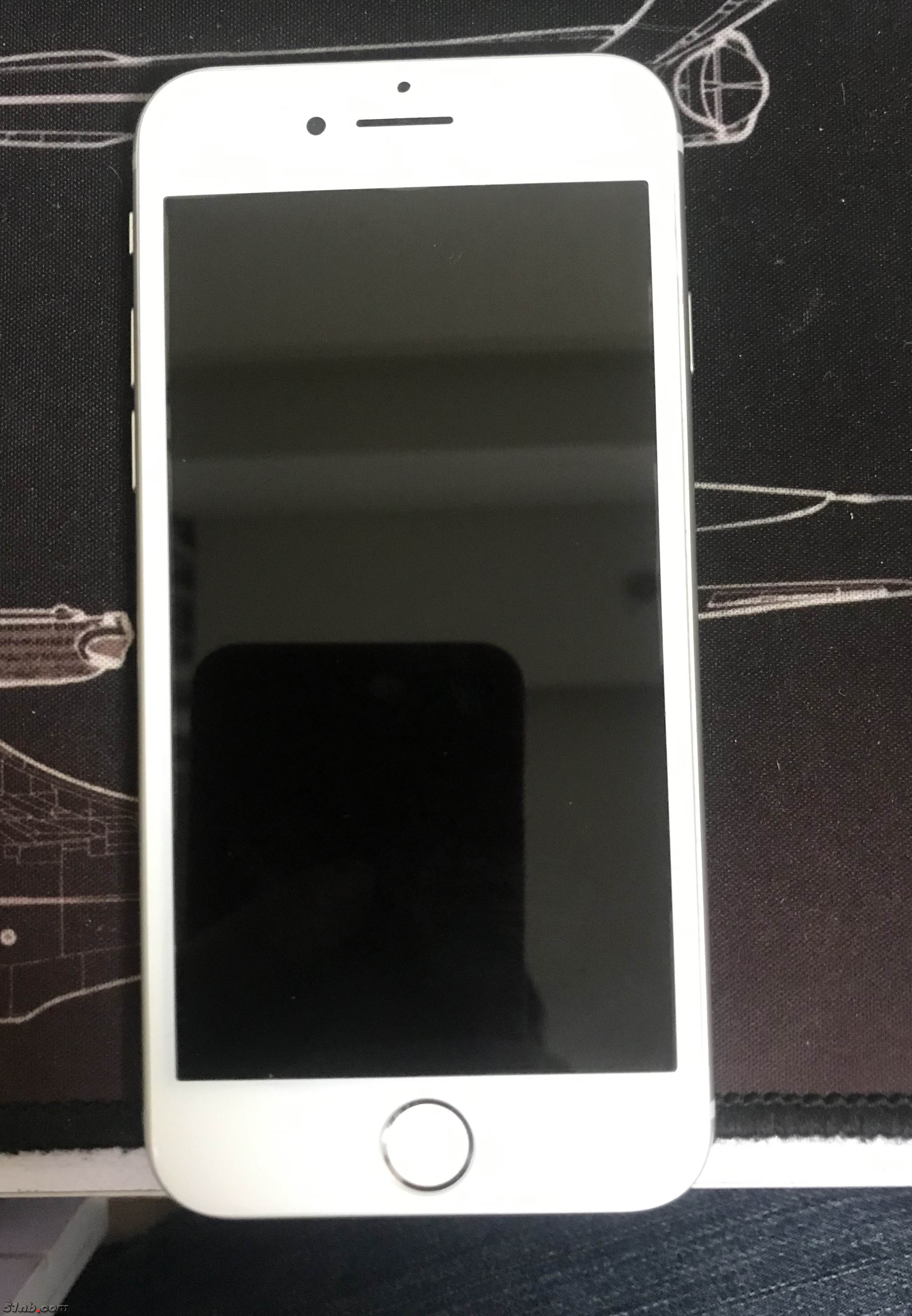 20190321_110555861_iOS.jpg