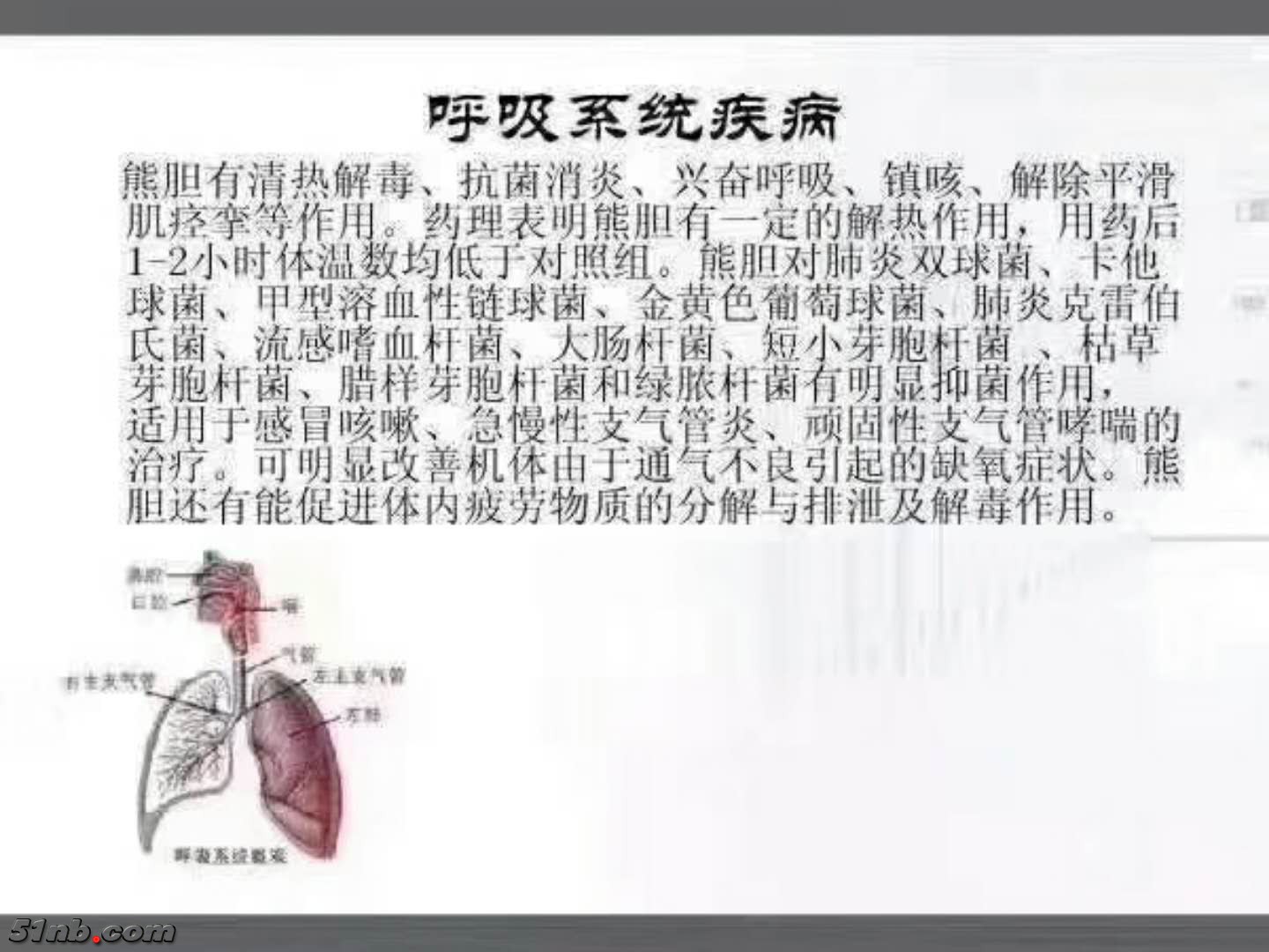 微信图片_20190411193453.jpg