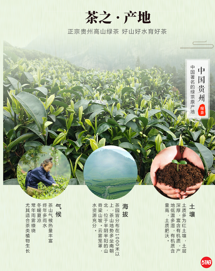特价茶详情_04.png