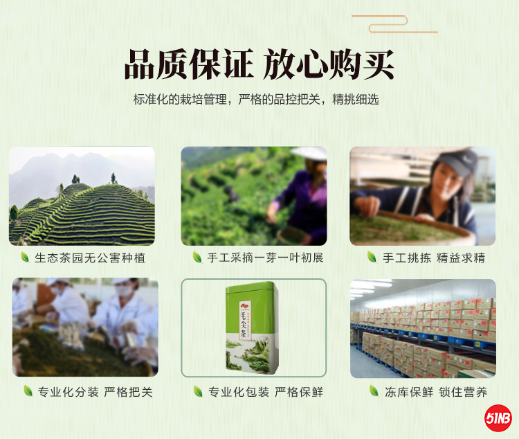 特价茶详情_10.png