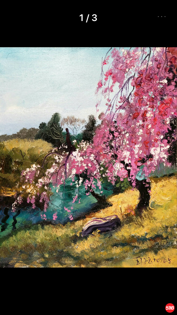 日本樱花，40X50王存玉，4000元.png