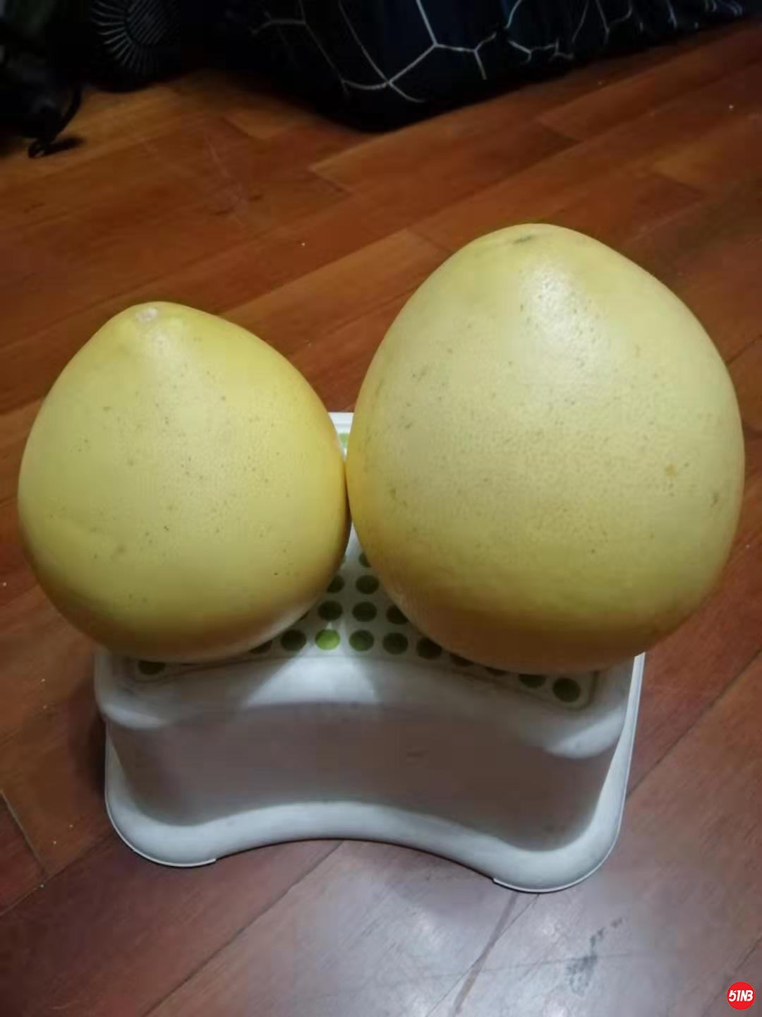 WeChat Image_20190907193517.jpg