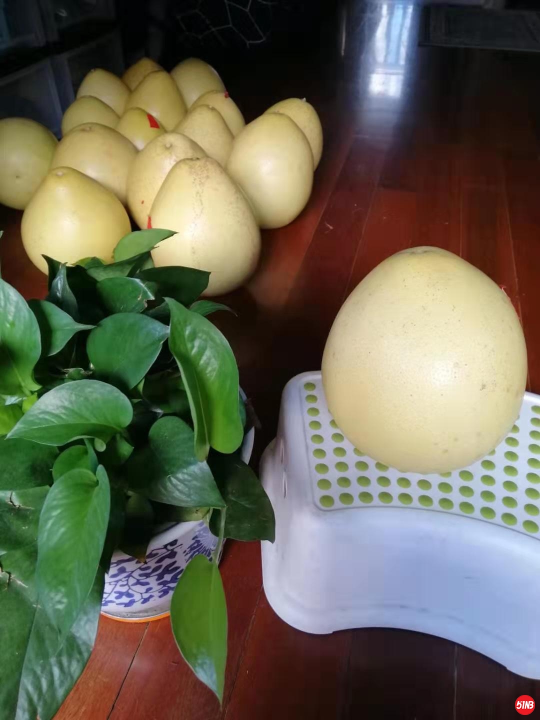 WeChat Image_20190907184704.jpg