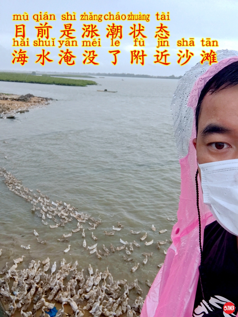 3鸭场环境-2.JPG