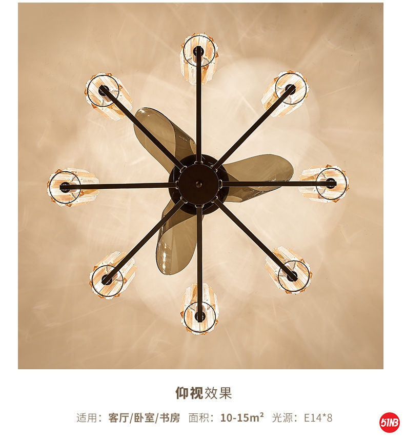 CS-8031_12.jpg