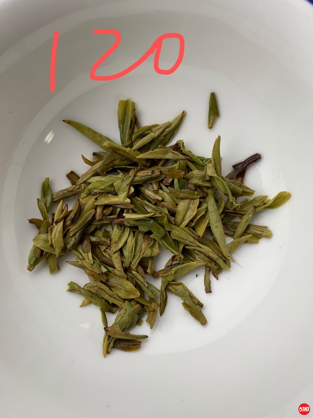 C53E206D-5BC4-4D84-8AAC-009AA2244FE3.jpeg