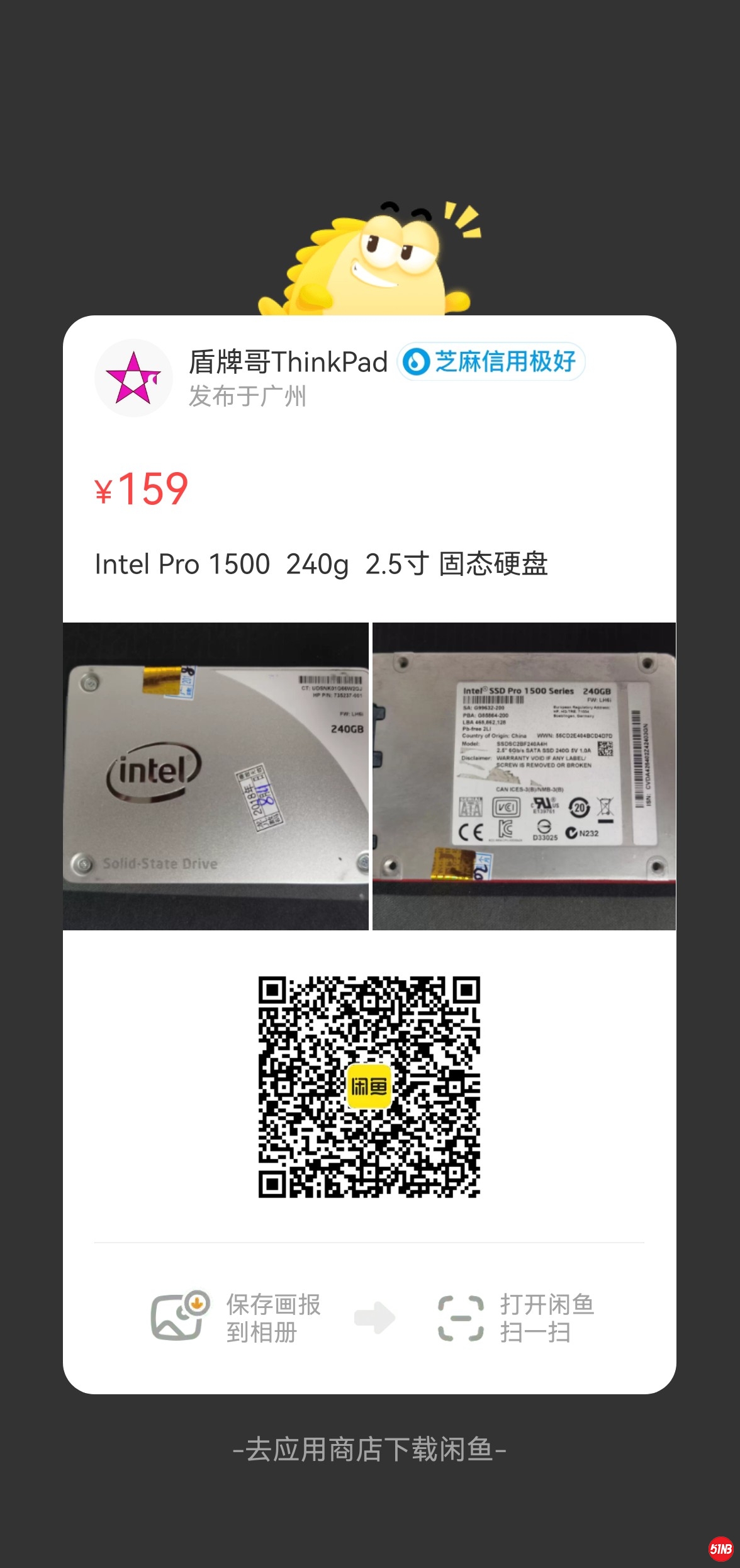 240g.jpg