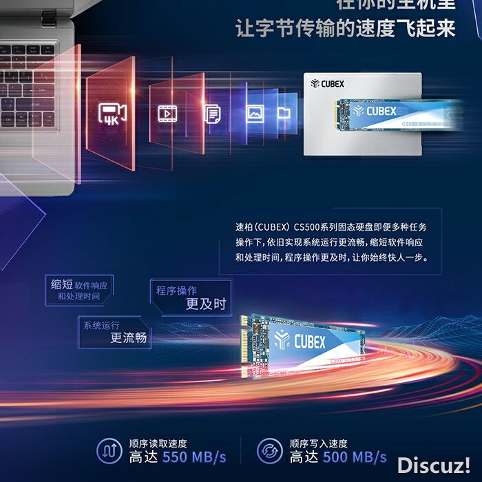 速柏 3.jpg