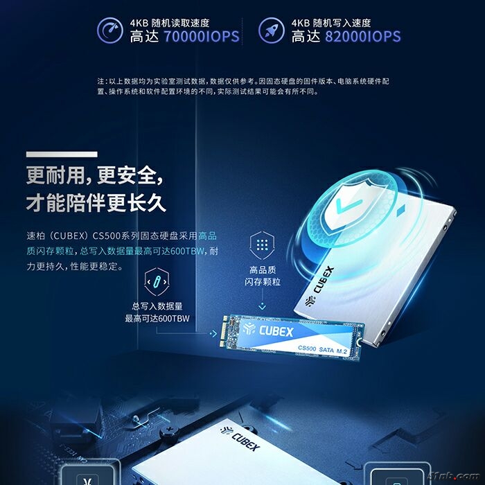 速柏 2.jpg