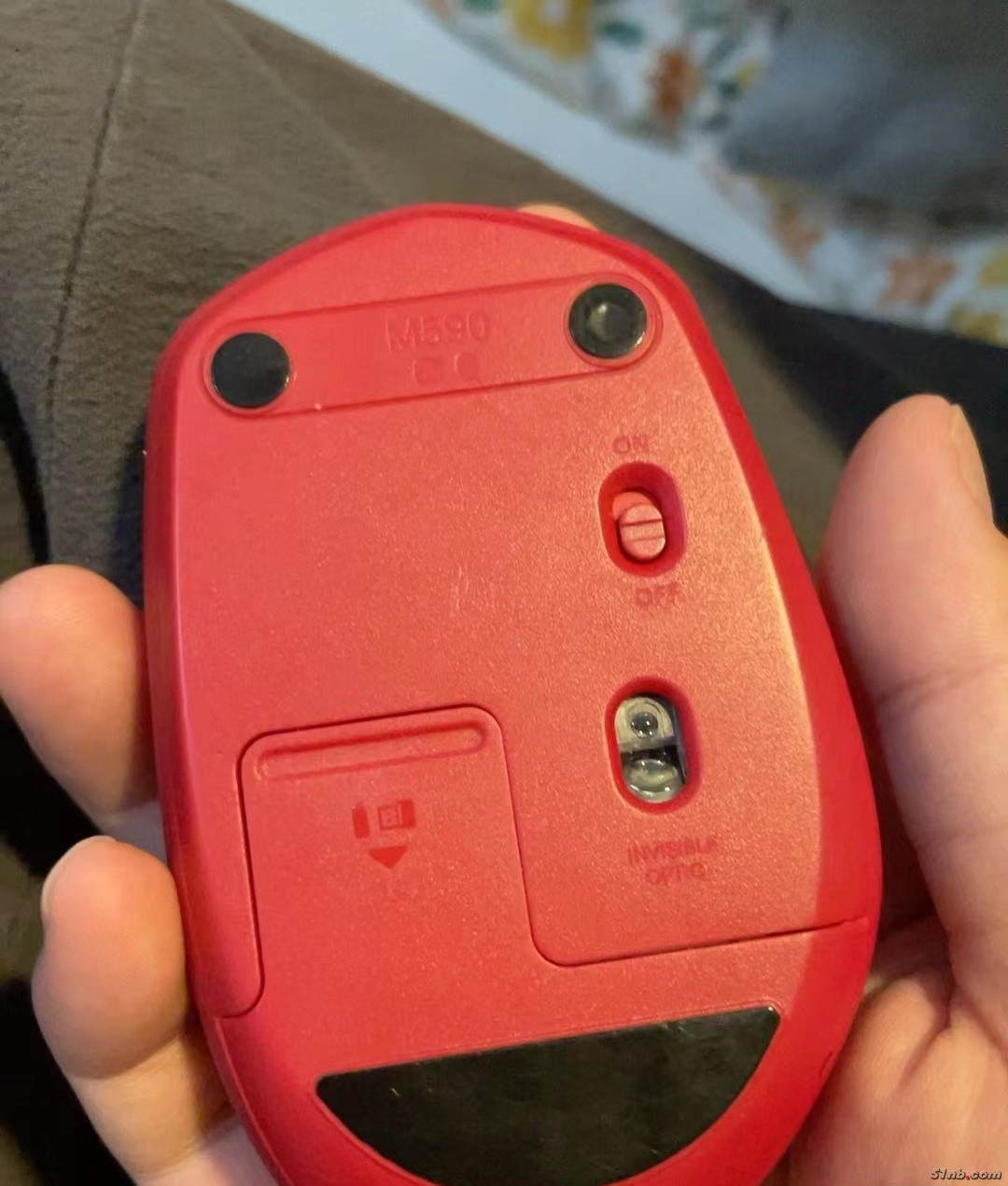 mice2.jpg