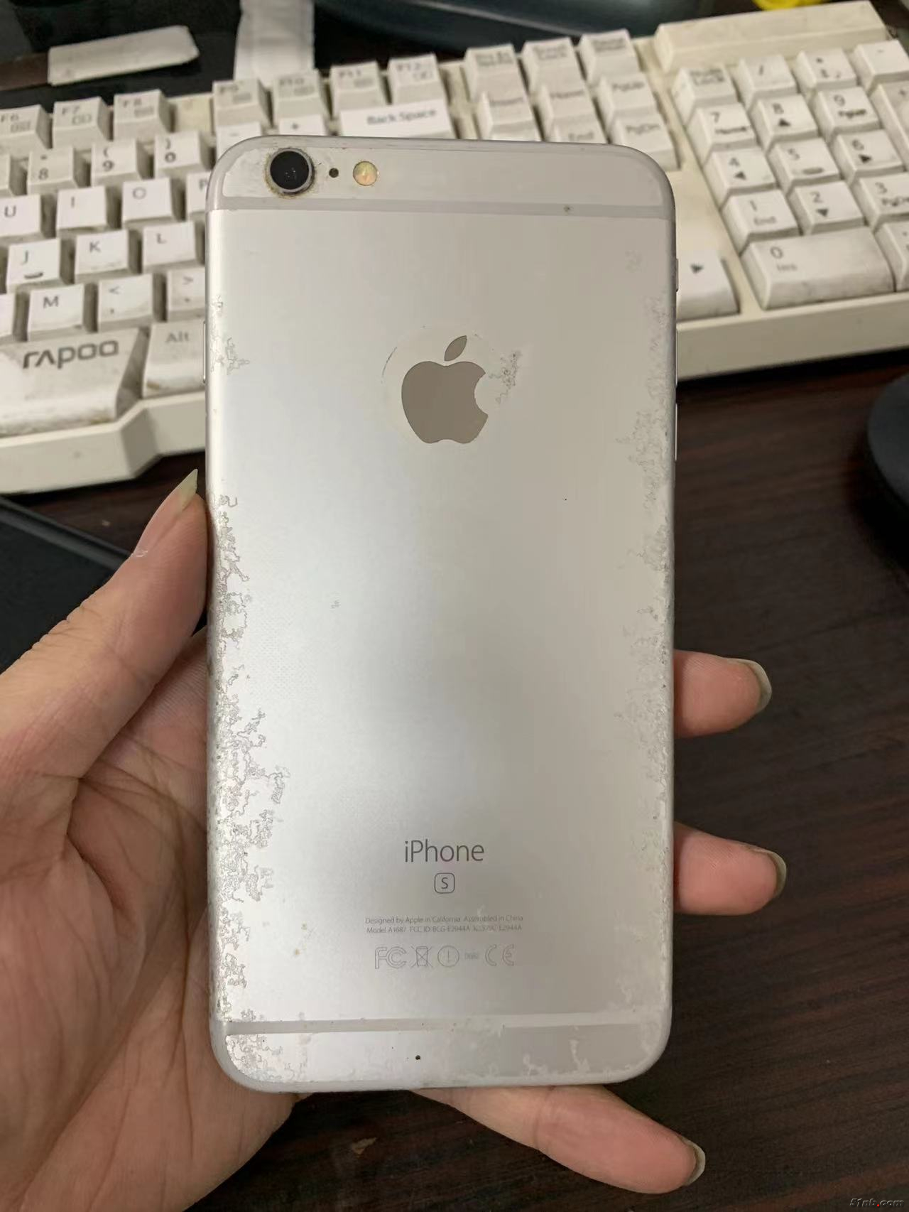 微信图片_202310231725523.jpg