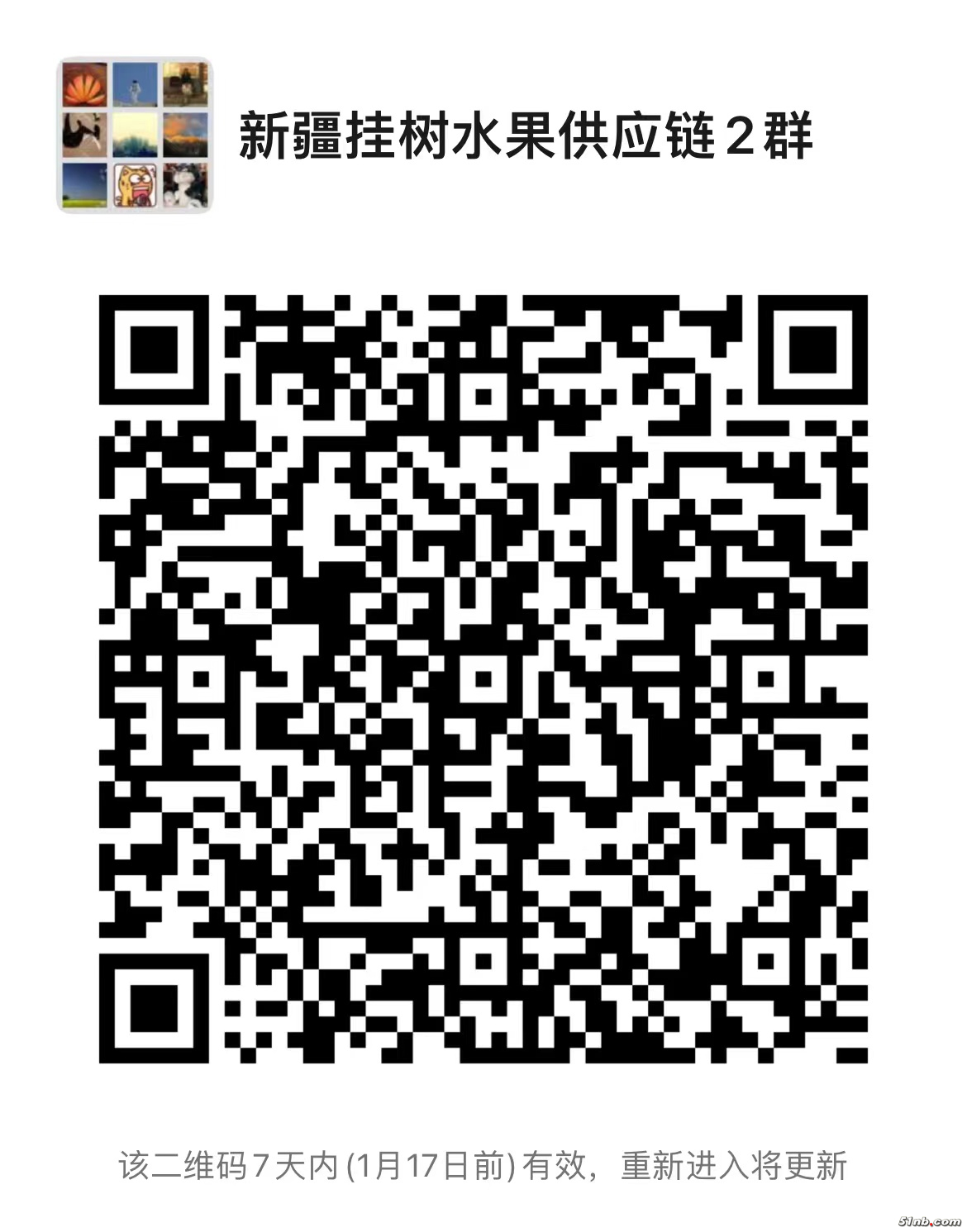 群10.jpg